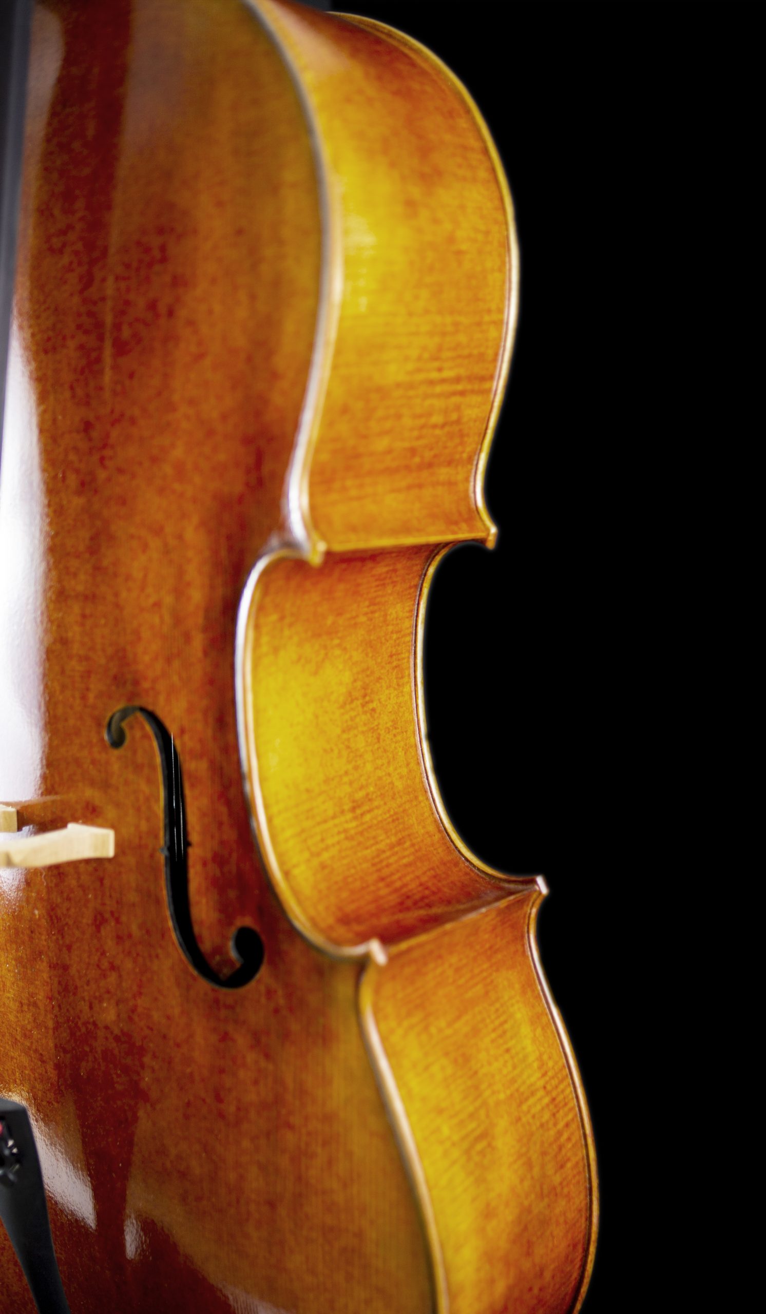 noleggio violoncello