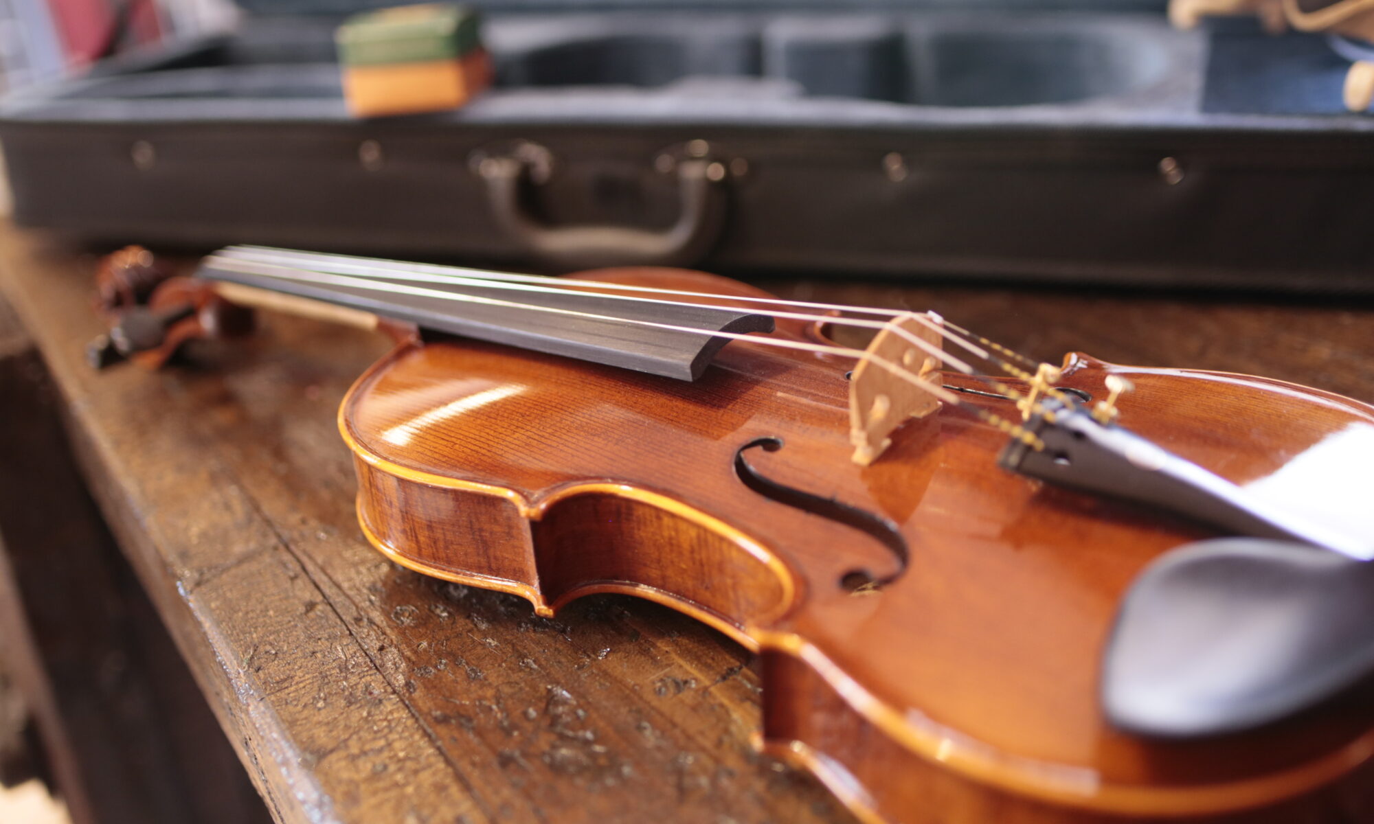 Violino Cesarini Pro Studio