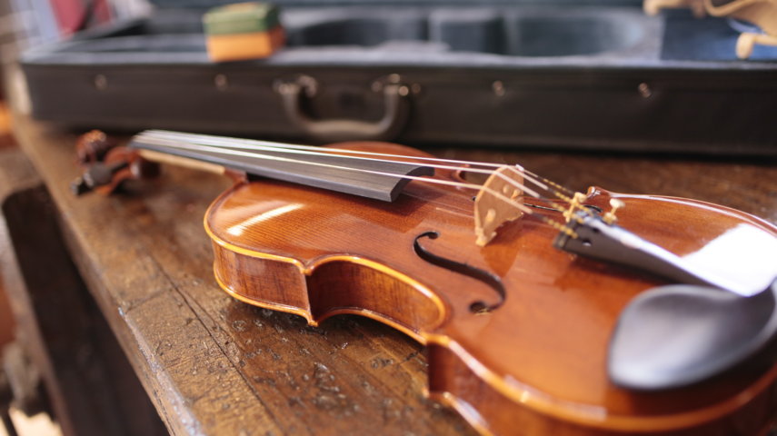 Violin Cesarini Pro Studio