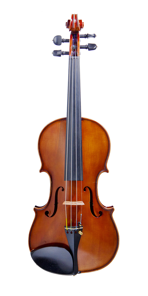 Violino professionale Wilson, tavola