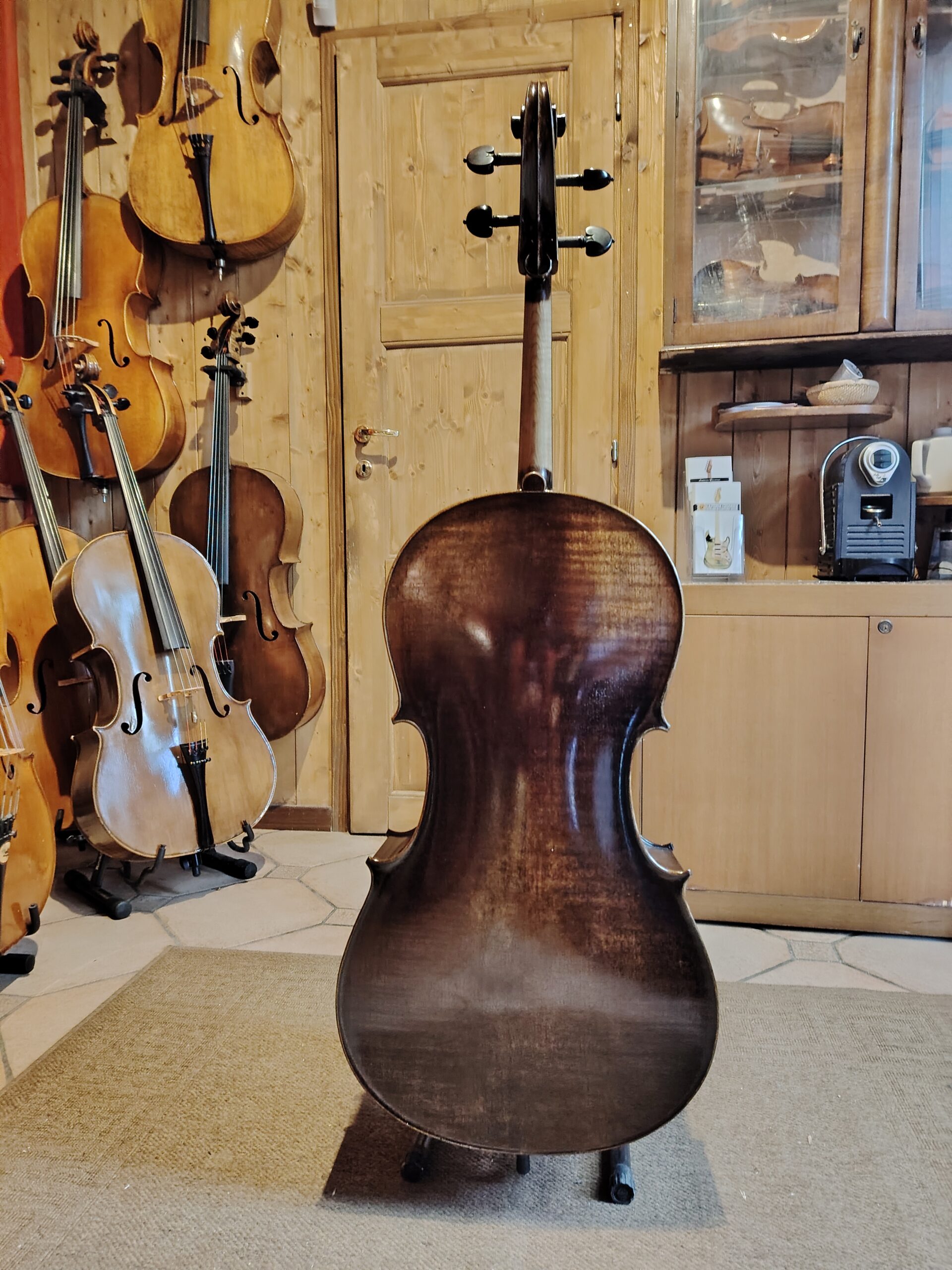 Violoncello Cesarini Pro Studio