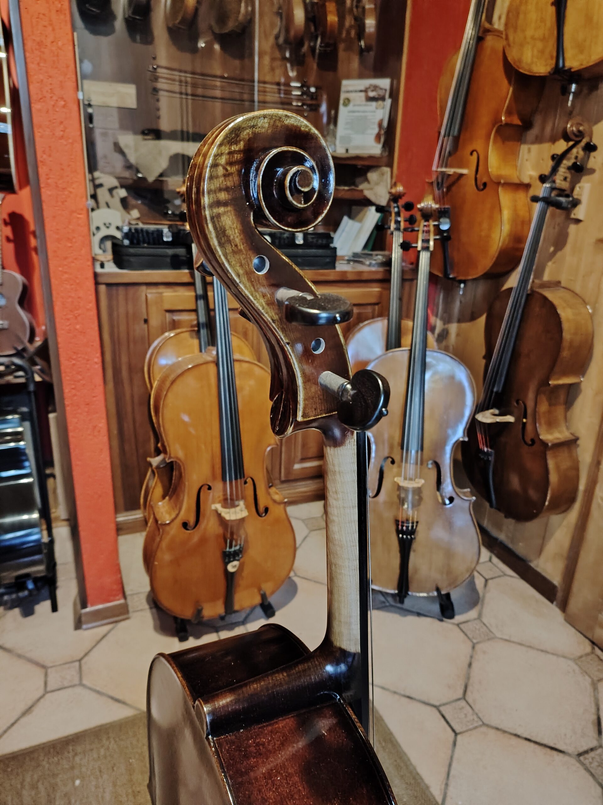 Violoncello Cesarini Pro Studio